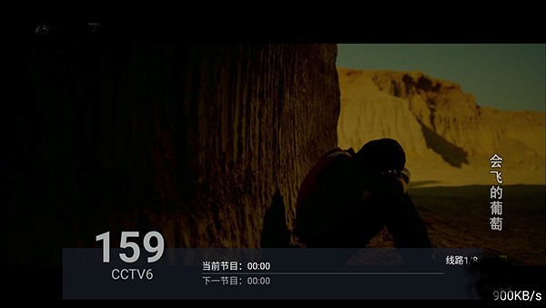 飞扬直播电视TV版