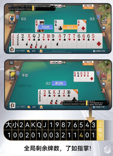 王者记牌器通用版
